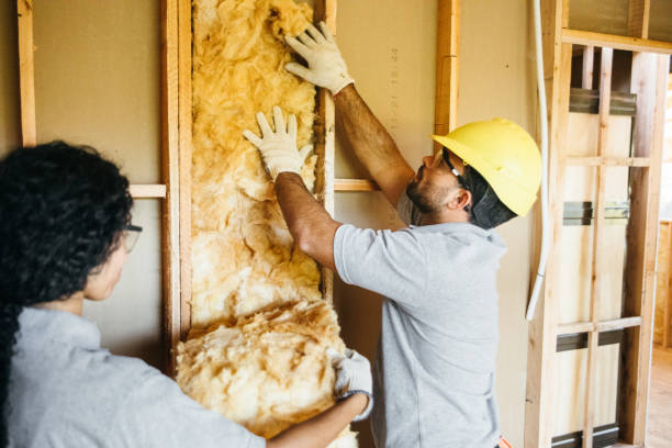 Best Local Insulation Services  in Cascade Valley, WA